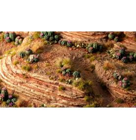 Basing Bits - Barrel Cacti