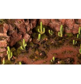 Basing Bits - Saguaro Cacti