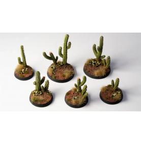 Basing Bits - Saguaro Cacti