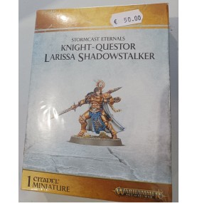 Knight Questor Larissa...