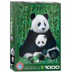1000 P Panda et son bébé