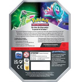 Pokémon : Pokebox Serpente-Eau/Vert-de-Fer-ex