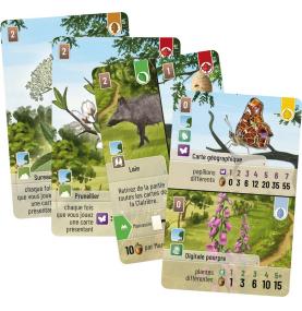 Forêt Mixte : Lisière de forêt (Ext)