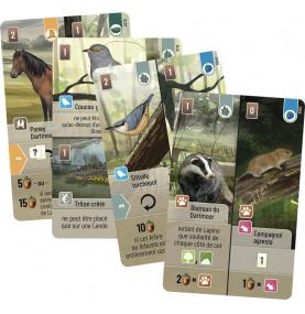 Forêt Mixte : Dartmoor